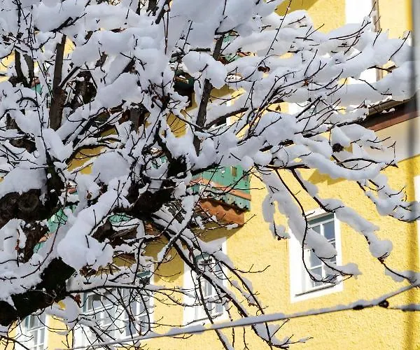 酒店 兴登堡酒店 萨菲登安斯泰内嫩米尔